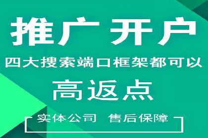 某品牌的信息流广告投放策略及效果展示